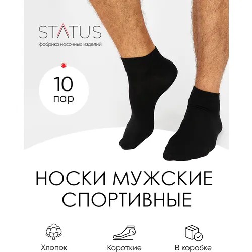 Носки STATUS, 10 пар, размер 29, черный