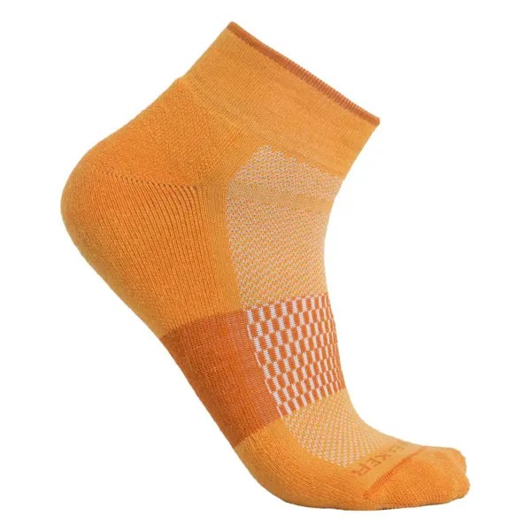 Носки Icebreaker Multisport Light Mini Merino, оранжевый