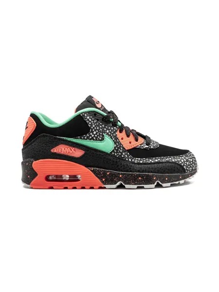 Nike Kids кроссовки Air Max 90 Pinnacle QS