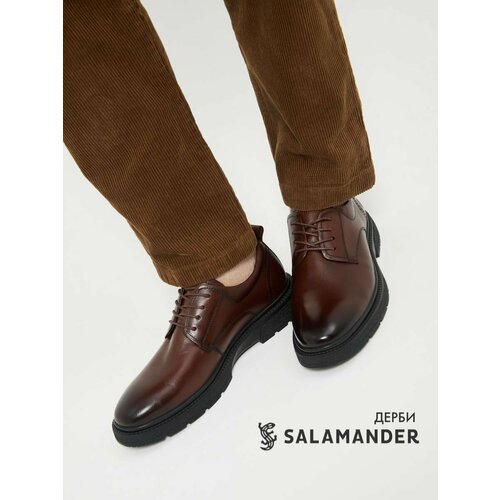 Полуботинки дерби Salamander, размер 41, коричневый