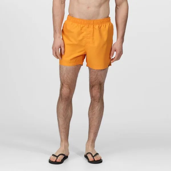 Мужские шорты для плавания Wayde - оранжевый REGATTA, цвет orange