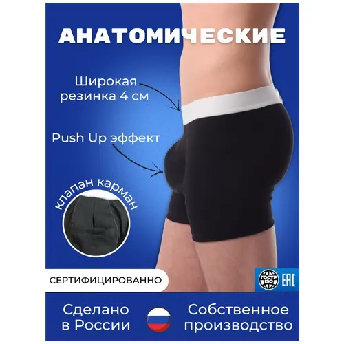 Трусы Анатомия, размер 48-50 (L), черный