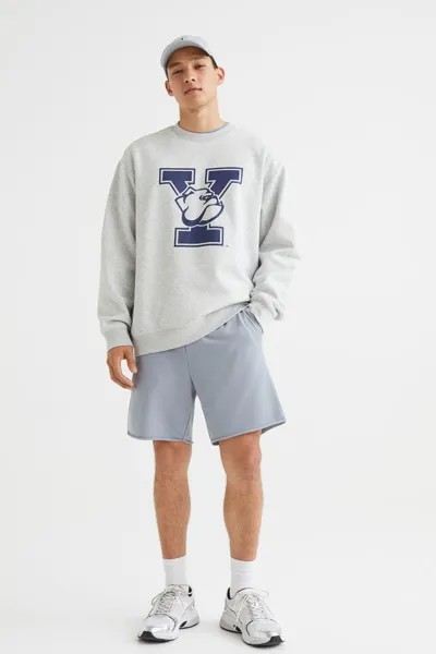 Свитшот мужской H&M 1027297018 серый L (доставка из-за рубежа)