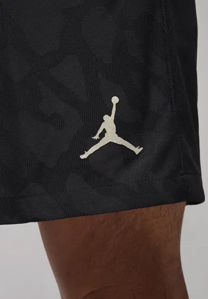 Спортивные шорты Paris St Germain Match 3Rd Nike, цвет black/stone