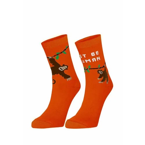 Носки Big Bang Socks Животные, размер 35-39, оранжевый