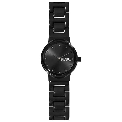 Наручные часы Skagen SKW2830