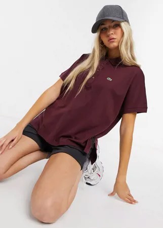 Темно-бордовая футболка-поло в стиле oversized Lacoste-Фиолетовый цвет