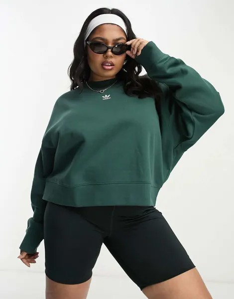 Свитшот adidas Originals Plus Essentials темно-зеленого цвета