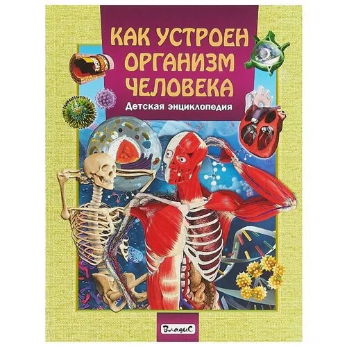 Как устроен организм человека. Детская энциклопедия