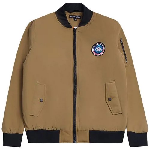 Куртка Anteater Bomber / L