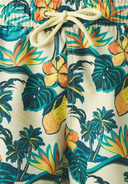Шорты для плавания PRINT SWIM Björn Borg, зеленый