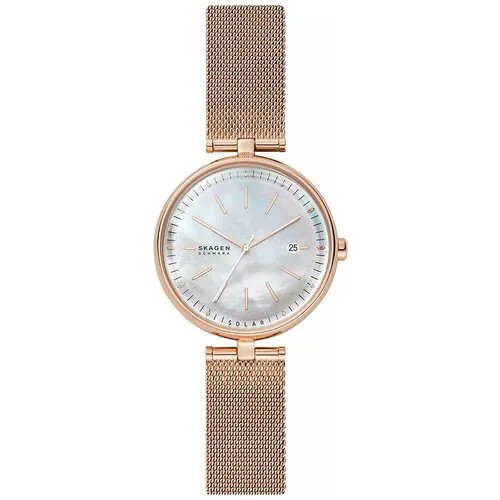 Наручные часы SKAGEN SKW2980