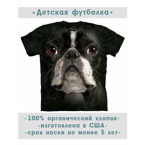 Футболка The Mountain, размер M-Y, черный