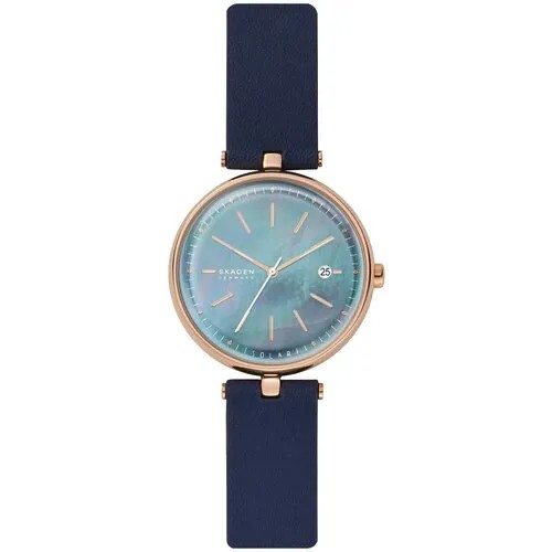 Наручные часы Skagen SKW2981