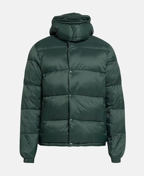 Зимняя куртка Wood Wood, темно-зеленый