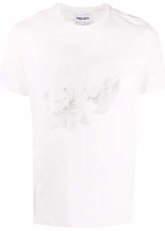 Kenzo Polar bear cotton T-shirt