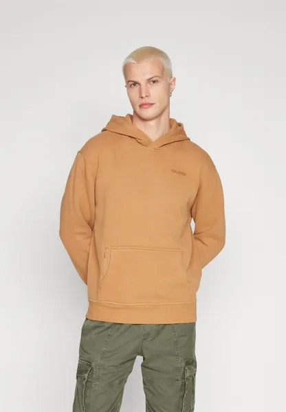 Толстовка Relaxed Logo Hoodie Hollister Co.