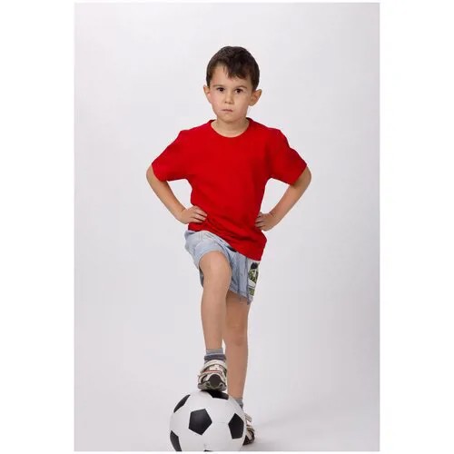 Футболка SWAN, хлопок, размер 36, красный