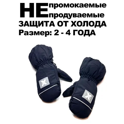Варежки  для мальчиков, размер 2-4 года, черные