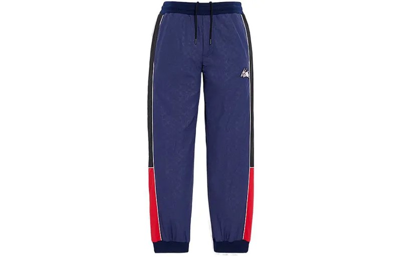Мужские трикотажные спортивные штаны COACH, цвет Colored navy blue