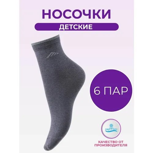 Носки САРТЭКС Базовая коллекция, 6 пар, размер 16/18, , темно-серый
