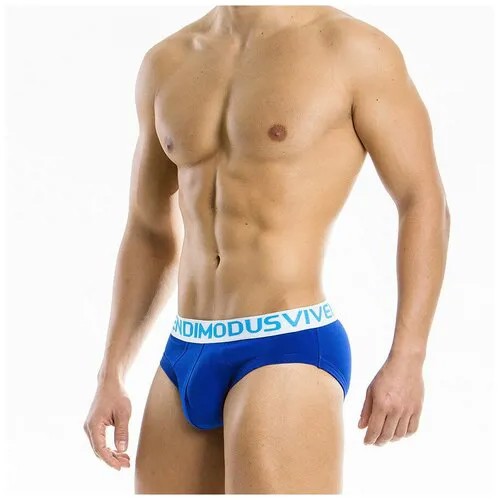Трусы Modus Vivendi, размер S, синий
