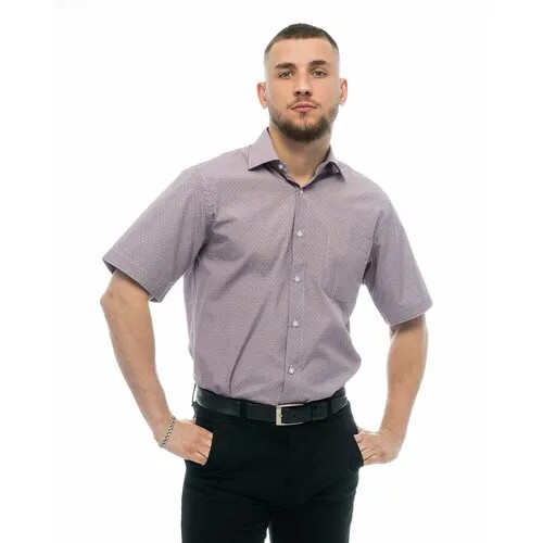 Рубашка Maestro, размер 54RU/XL/178-186/43 ворот, фиолетовый