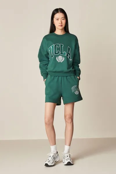 Лицензированные спортивные шорты UCLA для университетского университета с графикой в университетском стиле Next, зеленый