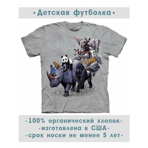 Футболка The Mountain, размер M-Y, серый