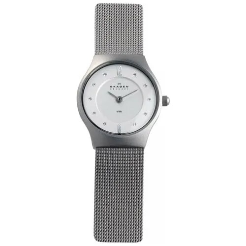 Наручные часы Skagen 233XSSS1