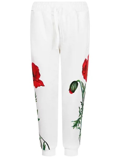 Брюки спортивные Dolce & Gabbana