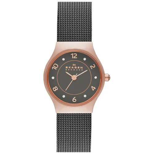 Наручные часы Skagen SKW2270