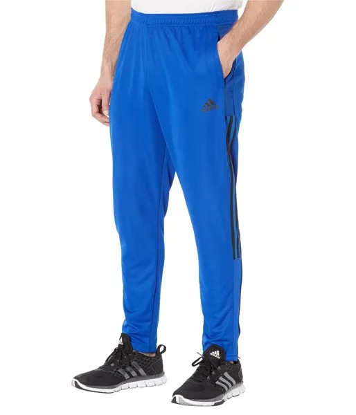 Брюки adidas Originals, Plus Size Adicolor Essentials Fleece Pants