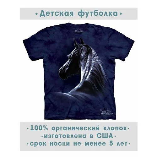 Футболка The Mountain, размер S-Y, фиолетовый