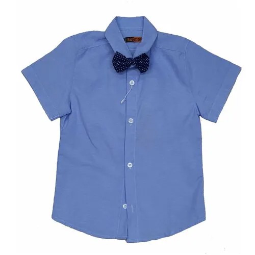 Рубашка, размер 98;104, голубой