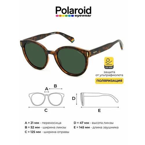 Солнцезащитные очки Polaroid Polaroid PLD 6185/S 086 UC, черепаховый