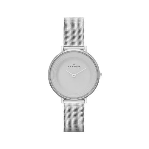 Наручные часы Skagen SKW2211