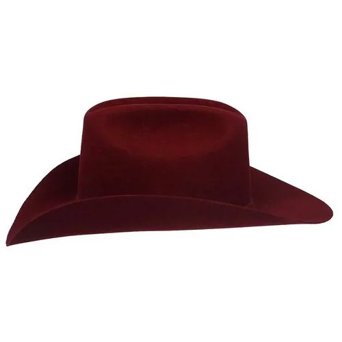 Шляпа Bailey, размер 59, бордовый