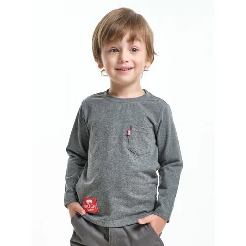 Лонгслив Mini Maxi, размер 98, серый, черный