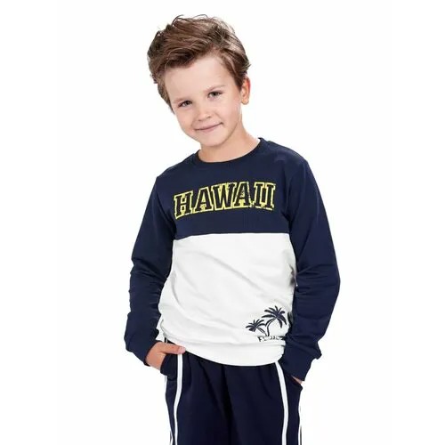 Свитшот Mini Maxi, размер 122, белый, синий