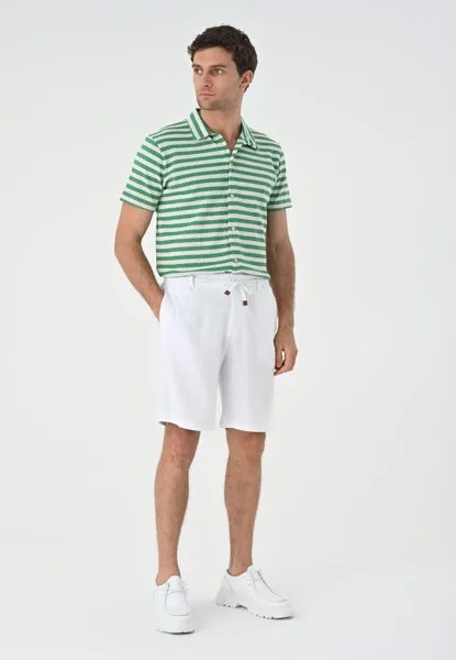 Рубашка CASUAL STRIPED Antioch, темно-зеленый