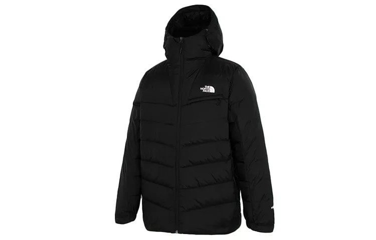 THE NORTH FACE Мужской пуховик, цвет Black