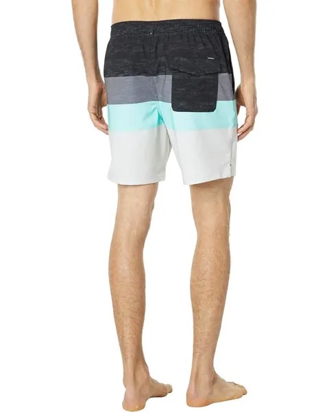 Шорты для плавания O'Neill Myriad Volley Swim Shorts, черный