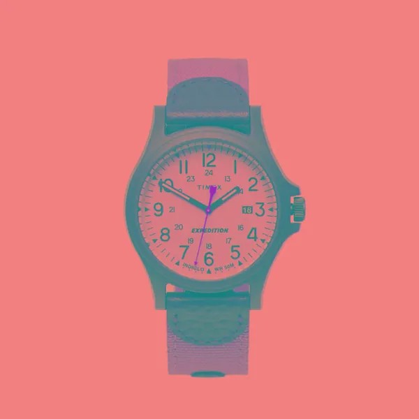 Наручные часы Timex Expedition Acadia