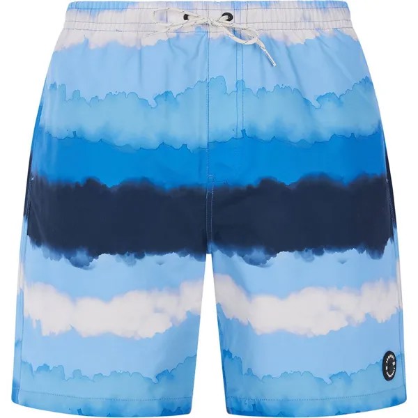Шорты для плавания Protest Hamsey Swimming Shorts, синий