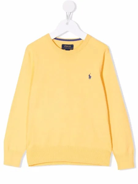 Ralph Lauren Kids embroidered-logo jumper