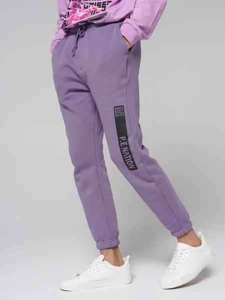 Спортивные брюки мужские ТВОЕ 85353 фиолетовые L