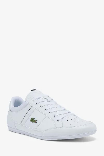 Chaymon 0121 белые спортивные туфли Lacoste, белый