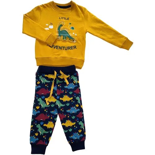 Комплект одежды на мальчика: толстовка и штанишки с начёсом