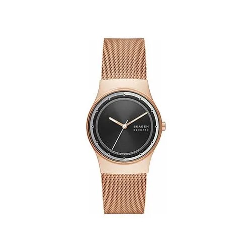 Наручные часы Skagen SKW3023